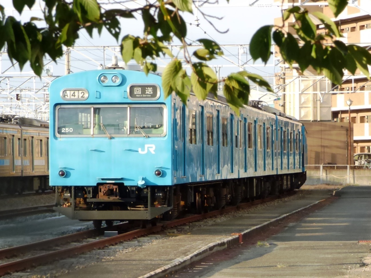 Jr西日本 阪和線 紀勢線 鉄道あらかると